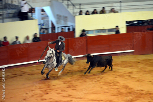 bullfighting, korrida, horse, Spain