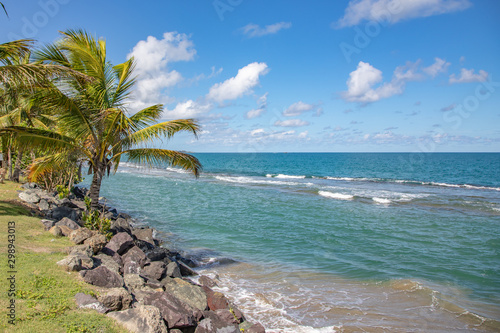 Dorado Beach, Puerto Rico. Playa de Dorado en Puerto Rico