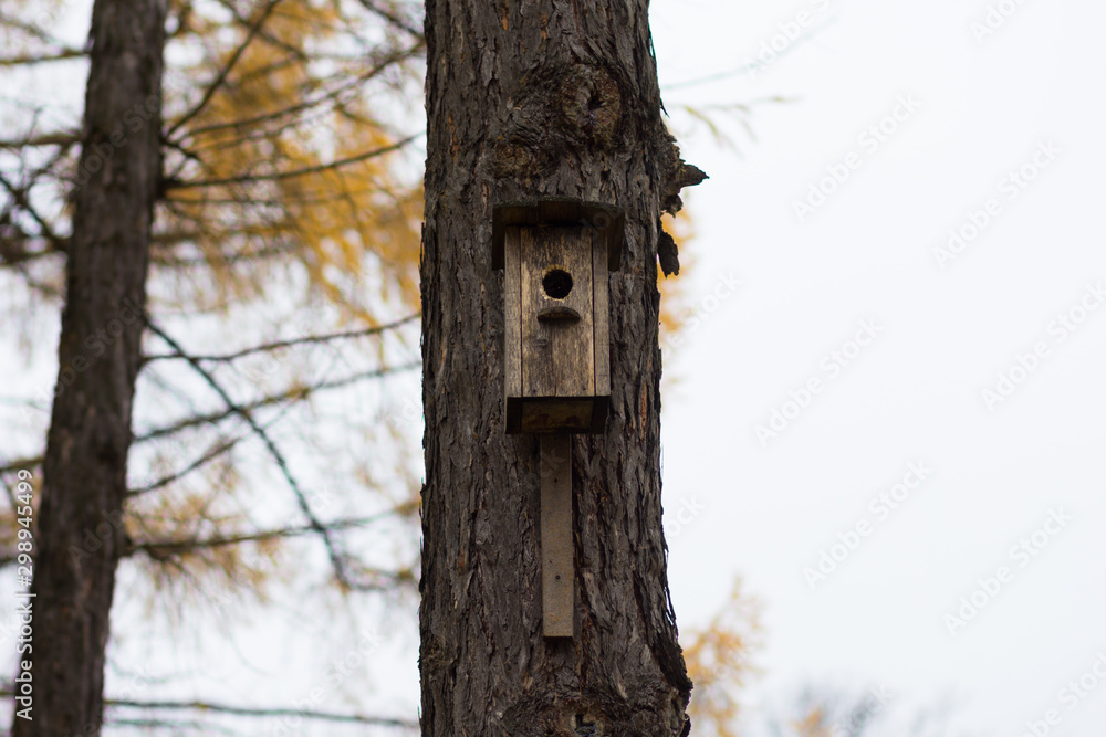 Wooden bird house on tree in autumn forest Wooden bird house on tree in autumn forest