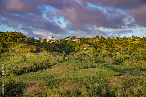 Orocovis, Puerto Rico countryside. Campos de Orocovis en Puerto Rico.