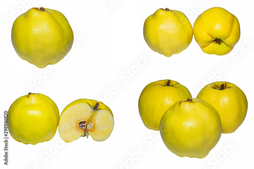 Quince Cydonia oblonga. Quince on the white background. Quince closeup.