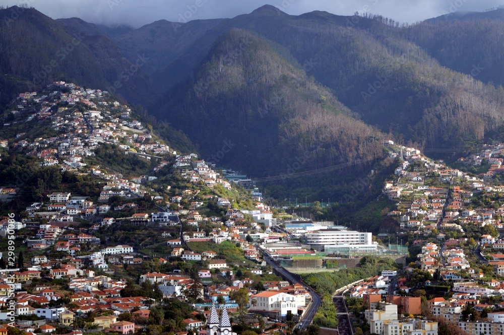 view of the city of Madeira, mountains
