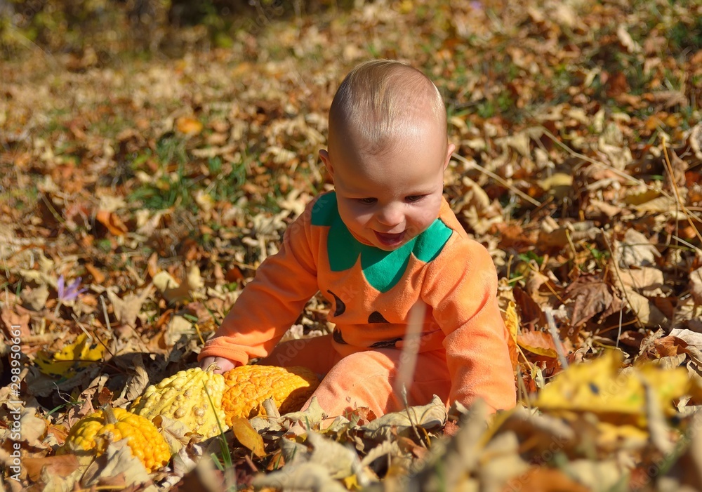little baby girl in autumn park on sunny warm october little baby girl in autumn park on sunny warm october