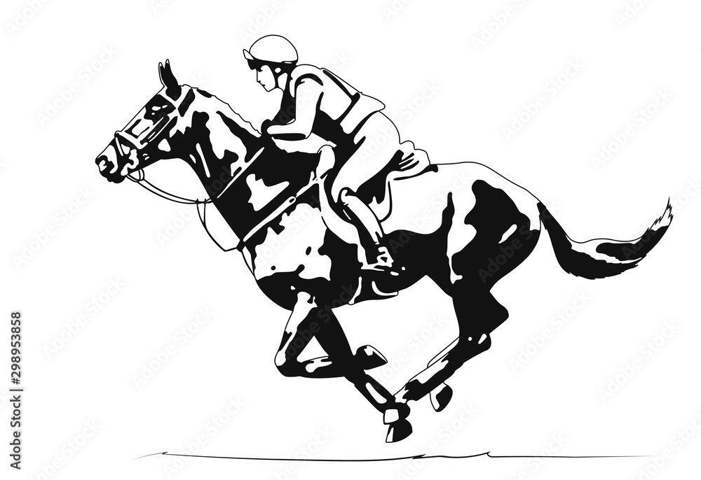 Fototapeta premium Equestrian sport, eventing competition, rider and horse