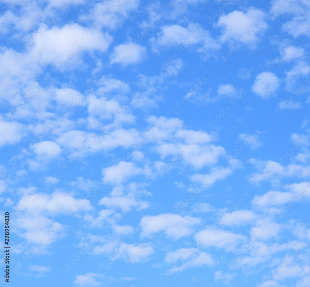 Fototapeta premium Schäfchenwolken - weiße Wolken - blauer Himmel