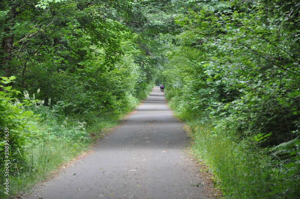 Obraz premium Bike Path