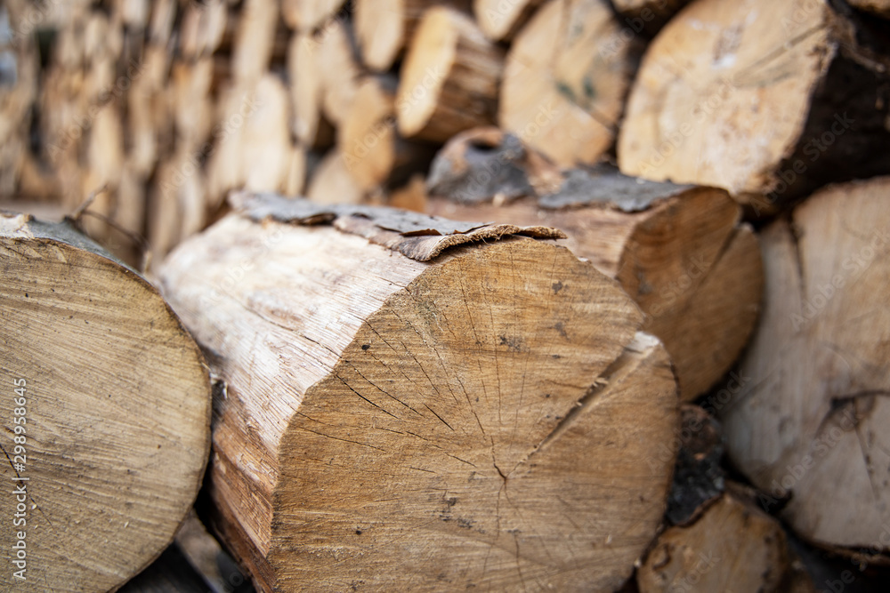 Cross section of the tree. Pile of firewood Cross section of the tree. Pile of firewood
