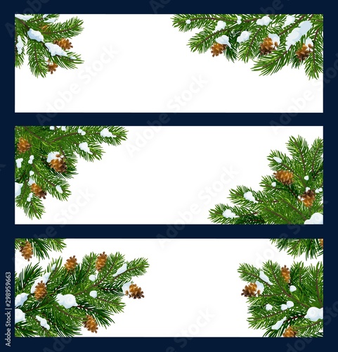 Christmas tree and pine branches with copy space
