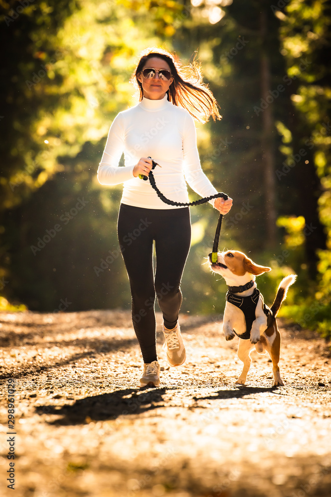 Girl is running with a dog (Beagle) on a leash in the autumn time, sunny day in forest. Copy space in nature - obrazy, fototapety, plakaty 