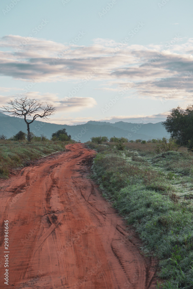 View of old Acacia tree next to African orange sand dirt road. Beautiful contrasting colours, dramatic looking sky. Tsavo East National Park, Kenya