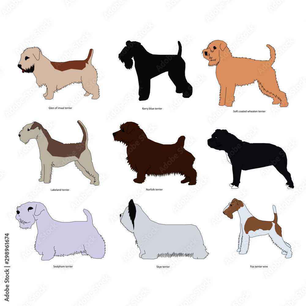 Dog breed set vector illustration 