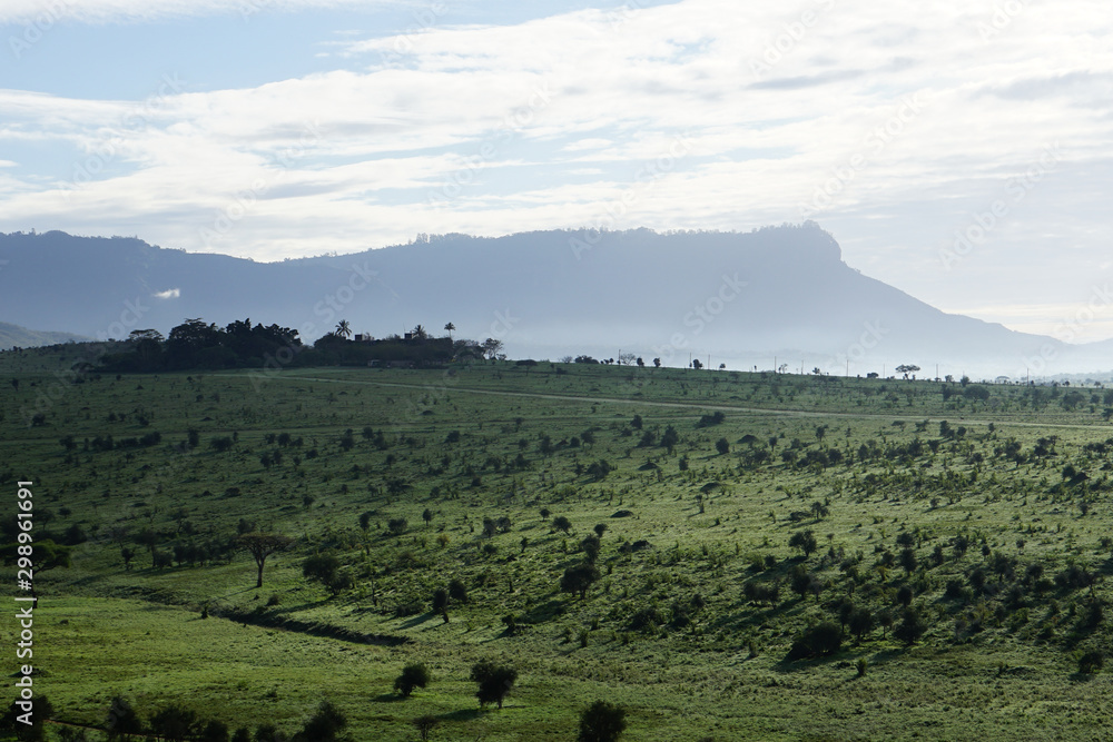 View of beautiful Kenyan Safari scenery. Cloud covered mountains in the background, green plain with trees and small road in the foreground. Tsavo West National Park, Kenya -Image