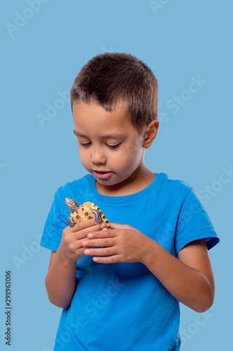 Shot of a boy holding a turtle in his hand on a blue background. © rozaivn58