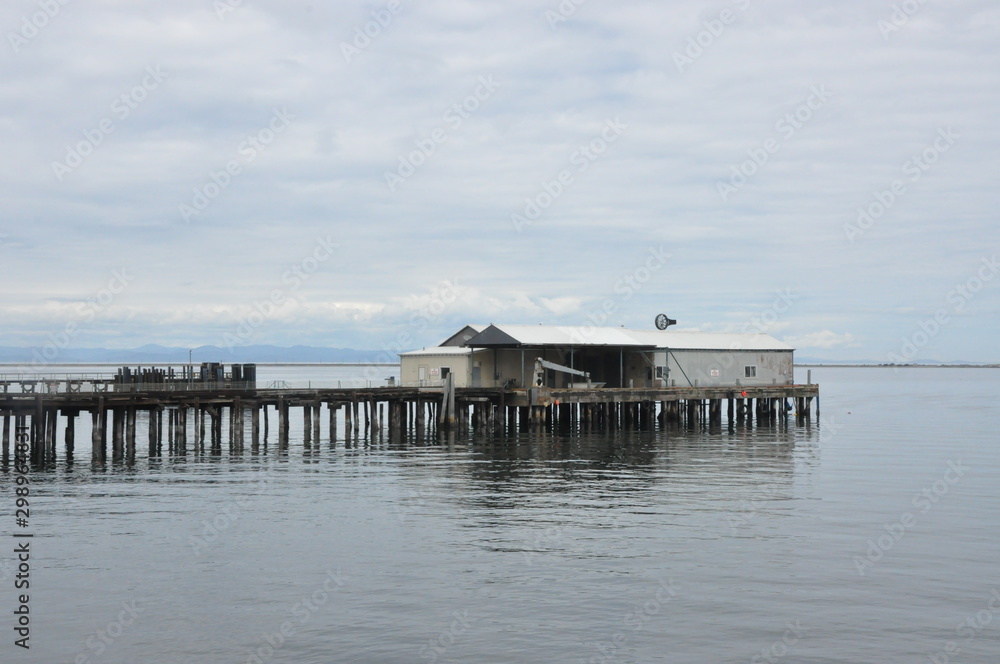 Pacific Northwest Harbor