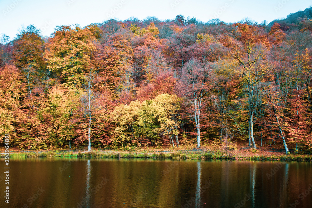 Obraz premium autumn landscape with lake and trees