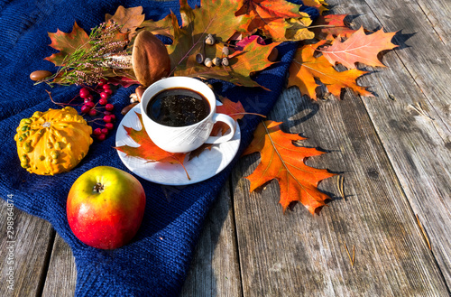 Autumnal maple and oak leaves, decorative pumpkin, red apple and ash berry on...