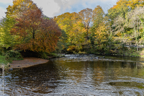 Autumn trees lining a riverbank on the River Roe, Limavady, County Londonderry