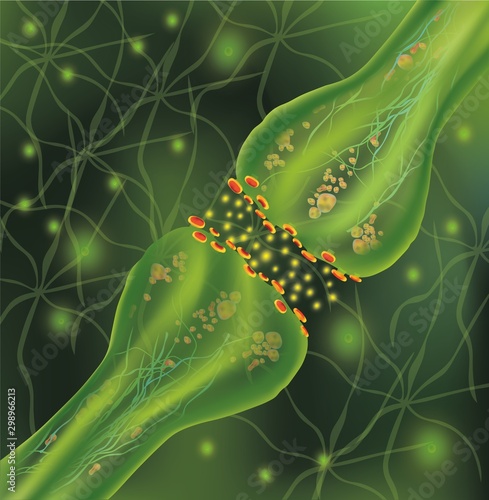 Signaling in the brain. Neural connections in the brain form thoughts, concept learning. Transmission of impulses in a living organism. Neural isolated on green background. Synapse and Neuron cells