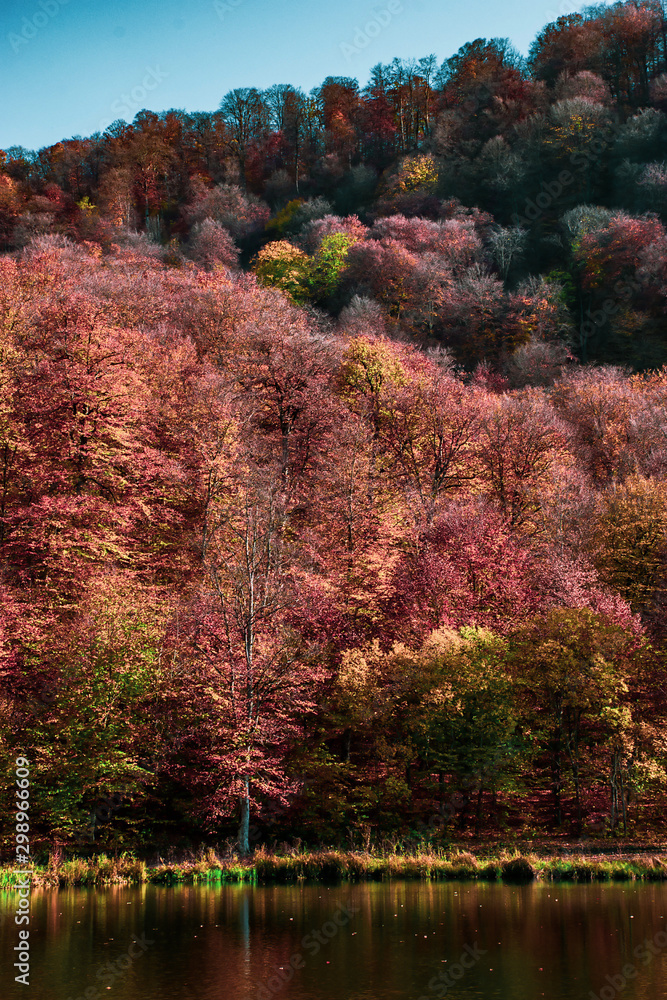 Obraz premium autumn in park
