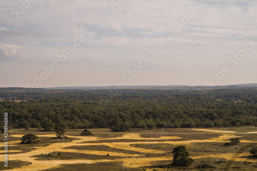 Fotografie sry landscape
