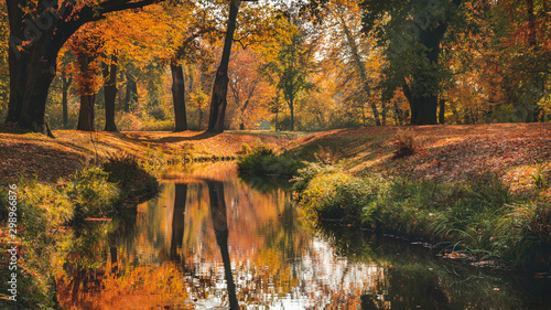 Fototapeta Naklejka Na Ścianę i Meble -  Beautiful autumn landscape with pleasant warm sunny light. Picture taken in Bad Muskau park, Saxony, Germany. UNESCO World Heritage Site.