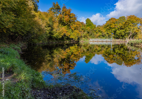 Calm weir pool with autumnal tree reflections  blue sky and white clouds