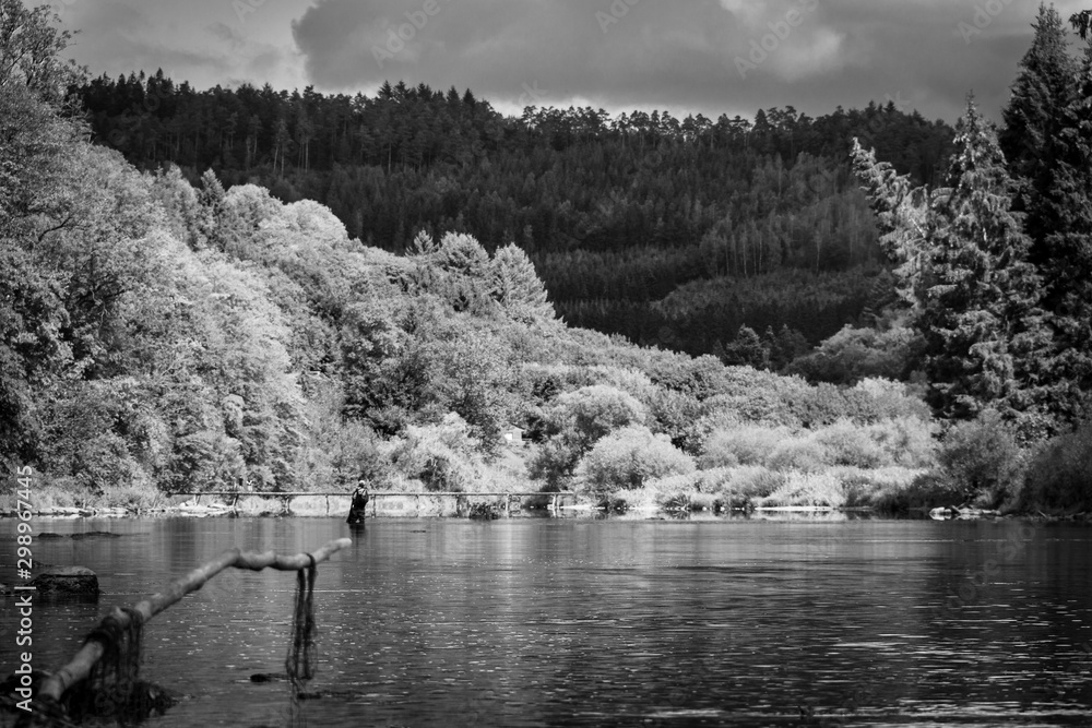 Fototapeta premium A landscape portrait of a fly fisher in a river in the middle of a forest. The fisherman is reeling in his rod to try and catch some fish.