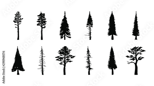 Set of silhouettes of trees, spruce and pine on a white background.