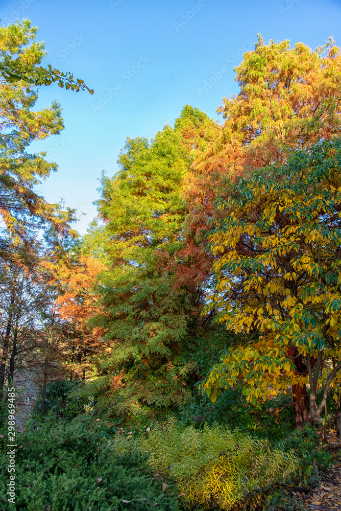 beautiful autumn trees and gardens by the lake