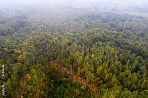 Las pośród mgieł w Polsce Bytom z góry