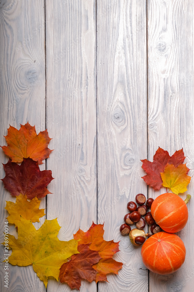 The background is made of wooden, white planks with maple leaves and pumpkin. The background is made of wooden, white planks with maple leaves and pumpkin.
