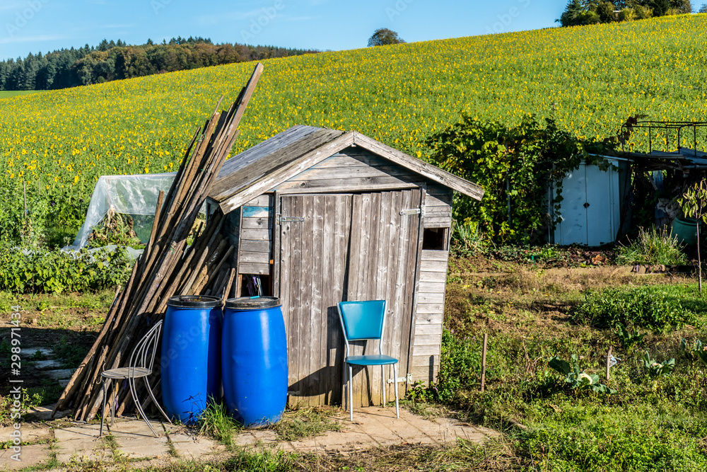 Obraz premium Hütte im Schrebergarten