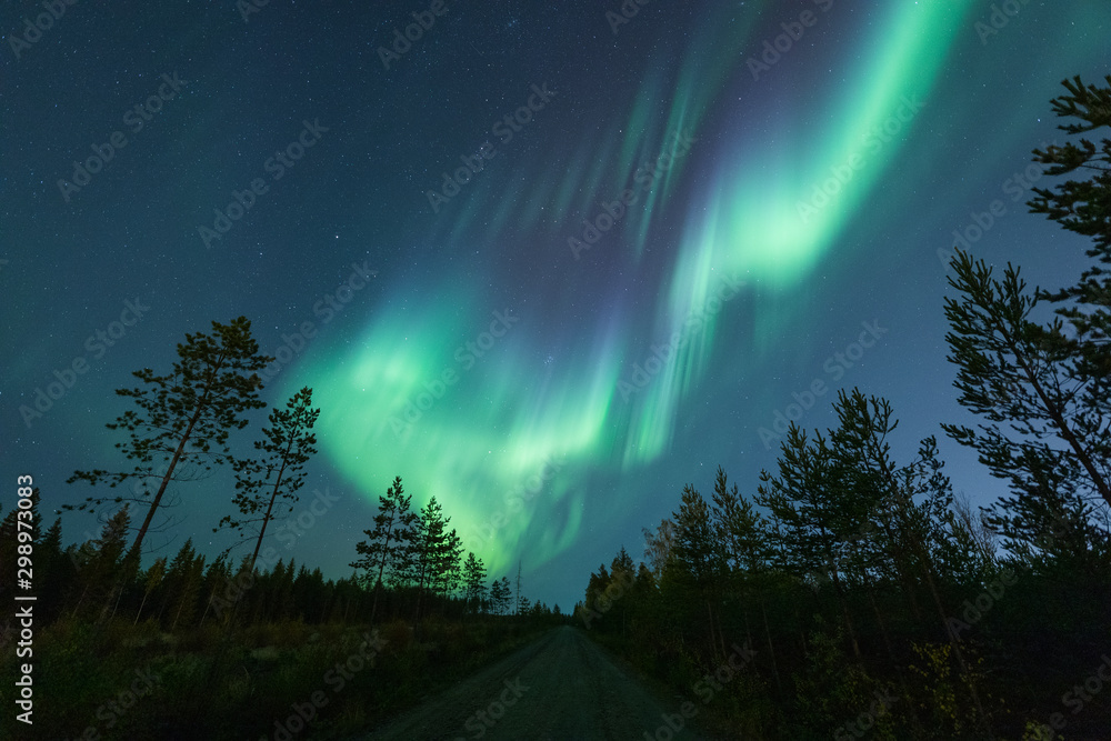 Beautiful northern lights on night sky Stock Photo | Adobe Stock