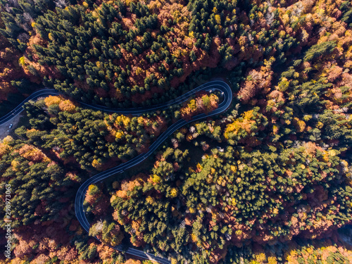 View from the air of a winding  asphalt road with turns, through  beautiful colorful autumn forest  with red yellow and green trees in Transfagarasan – Carpathian mountains, Romania.
