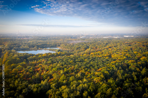 Rezerwat Segiet UNESCO Bytom lasy