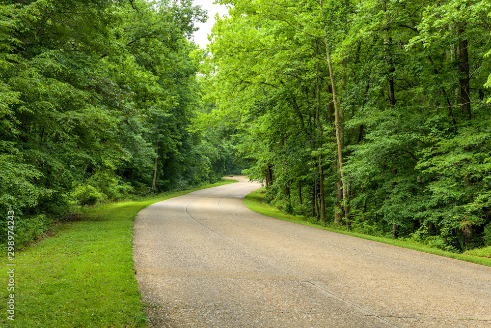 Naklejka premium Colonial Parkway - A Spring day view of broad three-lane Colonial Parkway winding through a dense forest in Colonial National Historical Park. Williamsburg, Virginia, USA.