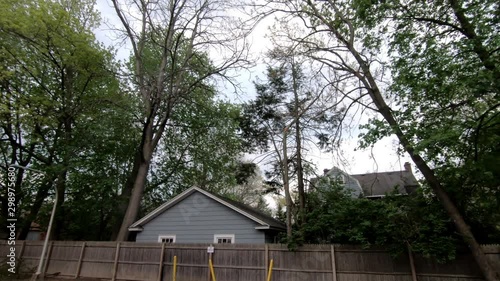 Wallpaper Mural first leaves on trees in early spring in suburban town Torontodigital.ca