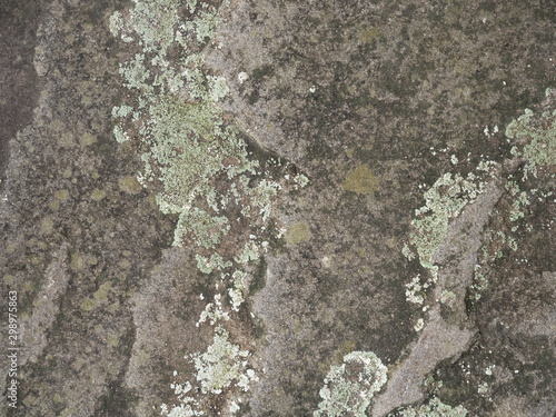 Weathered stone plate 02