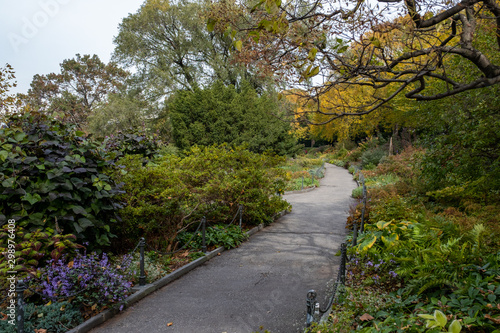 Fall foliage color of Fort Tryon Park in Fort George Manhattan