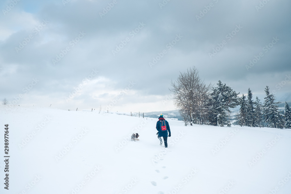 The man with Springer Spaniel dog, hiking in the Tatras mountains in winter. Snow, ice and freezing cold temperature. Adventure in deep snow with mountain landscape.