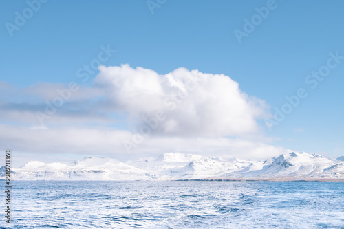 Fjord of Iceland in Winter