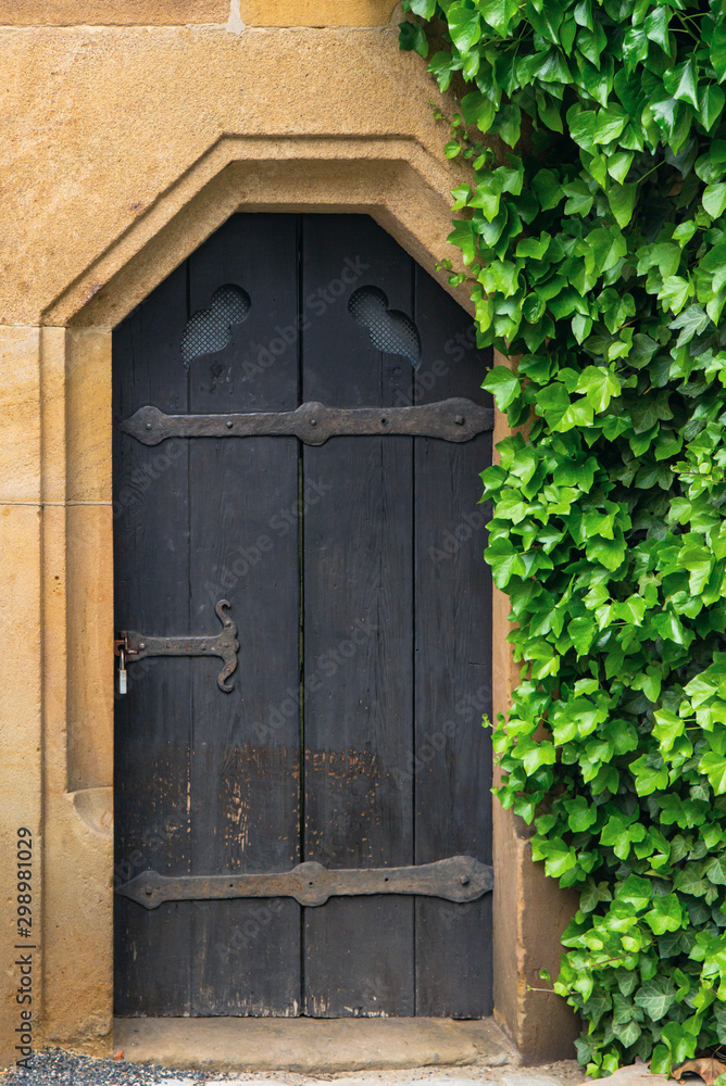 Old door in a medieval building with thick ivy on the right