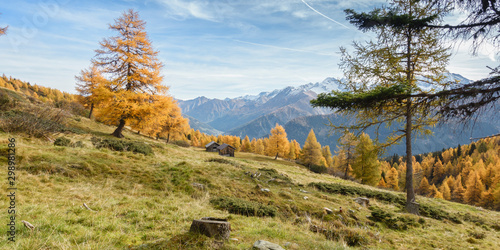 herrliche herbstliche Landschaft in Tirol Österreich als Panorama photo