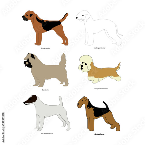 Dog breed set vector illustration isolated