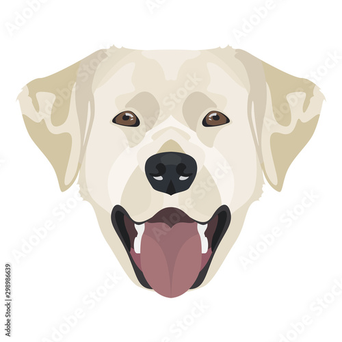 Illustration goldener Labrador Retriever mit Lächeln