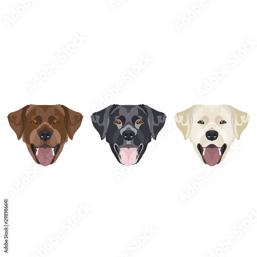 Grafik Set Labrador Retriever bunt