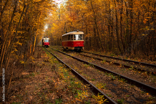 Two trams and tram rails among the autumn forest.
