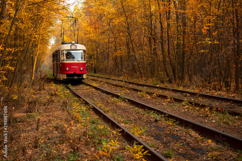 Tram rides through the autumn park.