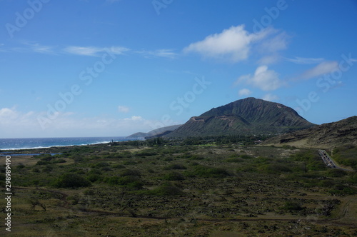 ハワイの風景