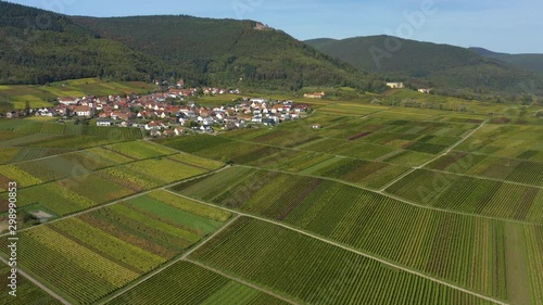 Aerial view of vineyards, houses and village in the Pfalz in Germany. On a sunny day in Autumn, fall. Zoom in on the village Weyher in der Pfalz photo